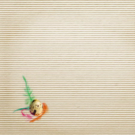 letter, Easter Eggs with feathers 	 の写真素材