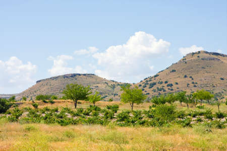 Landscape, Turkeyの写真素材