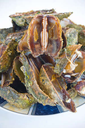 empty delicious oysters 