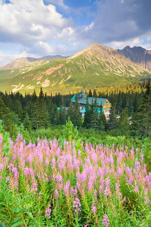 Gasienicowa Valley in Tatra Mountains, Poland の写真素材