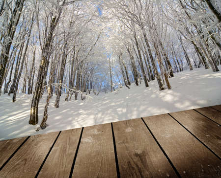 winter forest and empty wooden deck table, ready for product montage display  の写真素材