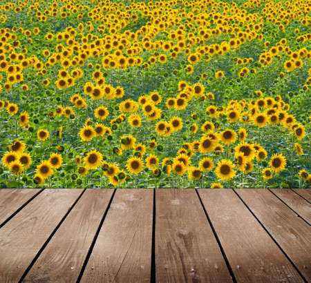 Sunflower field and empty wooden deck table. Ready for product montage display. の写真素材