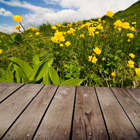Globe-flower and empty wooden deck table. Ready for product montage display. の写真素材