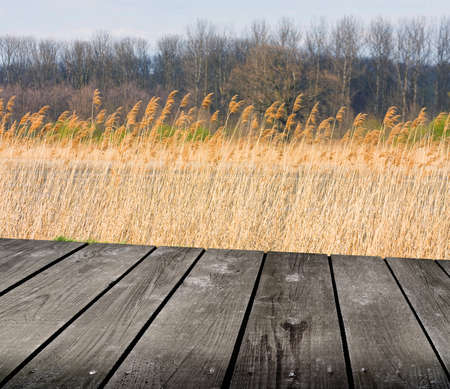 reed and empty wooden deck table  Ready for product montage display  の写真素材