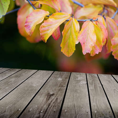autumn theme and empty wooden deck table. Ready for product montage display