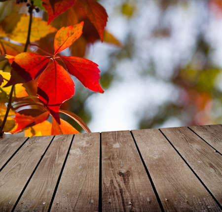 autumn theme and empty wooden deck table. Ready for product montage display
