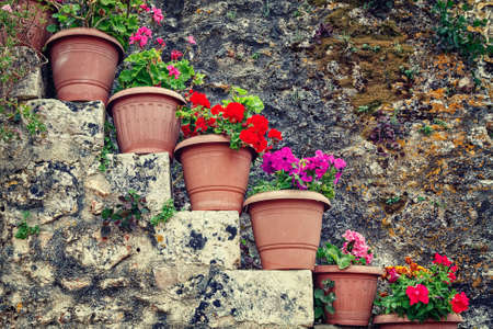 Flowers in the pots, vintage look