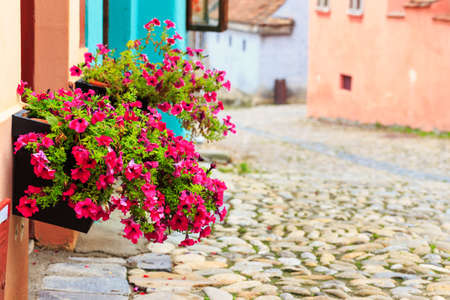 Medieval street view in Sighisoara founded by saxon colonists in XIII century, Romaniaの写真素材
