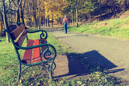 A man walking in the forest parkの写真素材