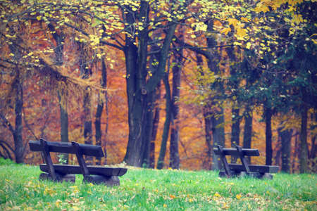 bench in the autumn park, vintage lookの写真素材