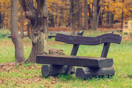 bench in the autumn park, vintage lookの写真素材