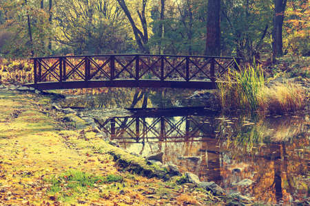 small bridge in the parkの写真素材