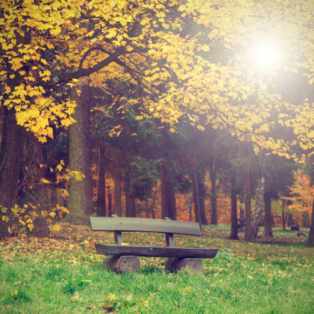 bench in the autumn park, vintage lookの写真素材