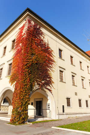 Wawel Castle in Krakow, Polandのeditorial素材