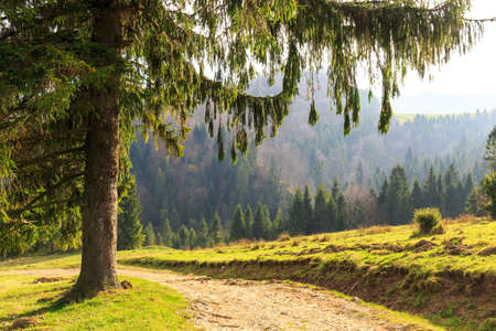 path in the mountainsの写真素材