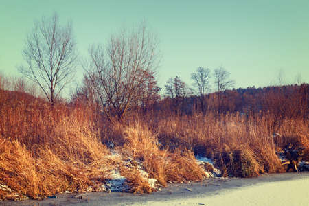 dry grass field, vintage color toneの写真素材
