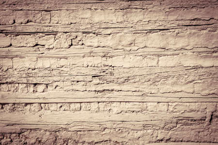 Wood wall backgroundの写真素材