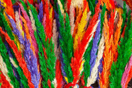 Easter palms on main market of Krakowの写真素材