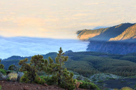 Aerial view over clouds above ocean water with last sunshine, Tenerife, Canary Islands, Spainの写真素材