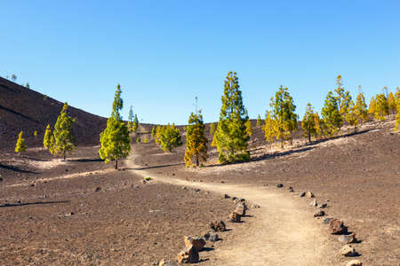 El Teide National Park Tenerife, Canary Islands, Spainの写真素材