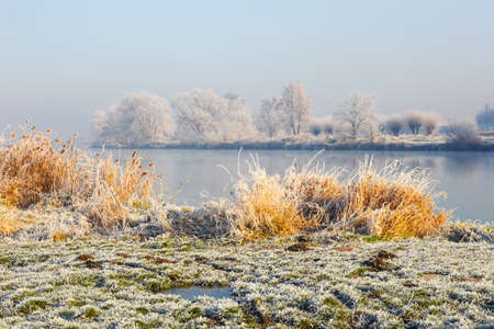 Snow covered trees, winter landscape