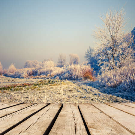 background of autumn forest and brown wooden deck table. Ready for product montage displayの写真素材
