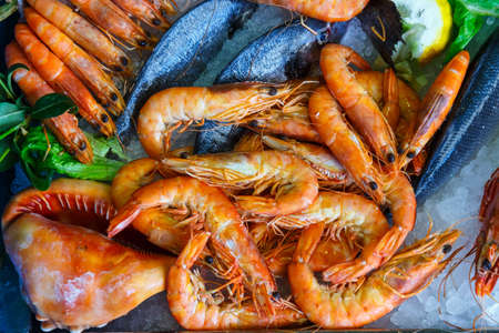 fresh seafood in the fridge of the seafood restaurant in Crete, Greeceの写真素材
