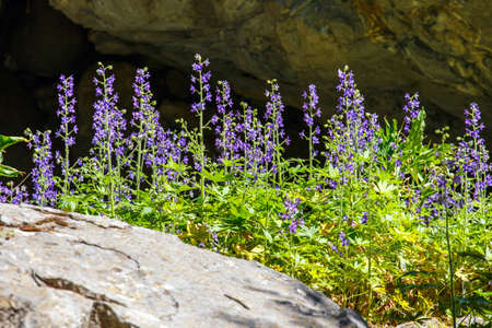 Samaria Gorge in central Crete, Greeceの写真素材