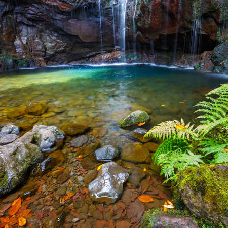Waterfall Levada das 25 fontes, Madeira Island, Portugalの写真素材
