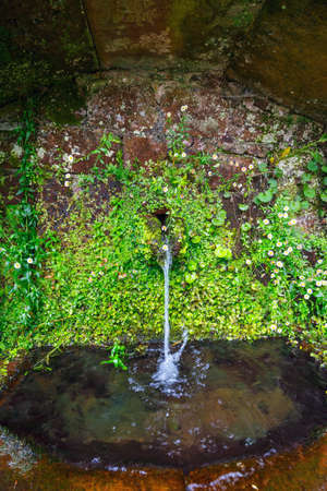 Close up of water source in the mountains, Madeira, Portugalの写真素材