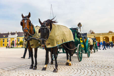 Vienna, Austria, October 14, 2016: Horse carriages at main square of Schonbrunn Palace in Vienna , Austriaのeditorial素材