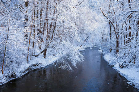 frozen forest with snow and river, winter landscapeの写真素材
