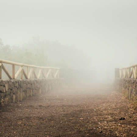 mountain trail in the foggy day, Tenerifeの写真素材