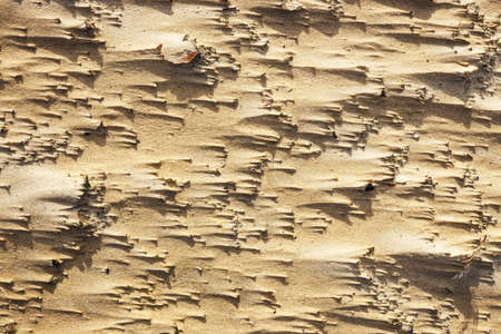 natural shapes in the sand on the beachの写真素材