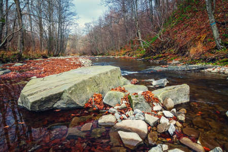 creek running in the foest through the stonesの写真素材