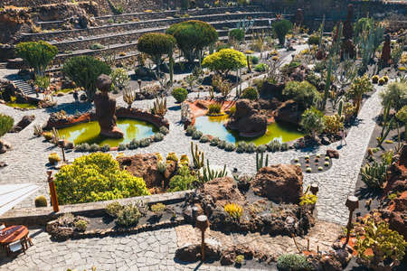 LANZAROTE - March 29, 2017: View of cactus garden in Guatiza, popular attraction in Lanzarote, Canary islandsのeditorial素材