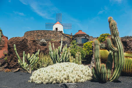 Windmill in tropical cactus garden in Guatiza village, popular attraction in Lanzarote, Canary islandsのeditorial素材