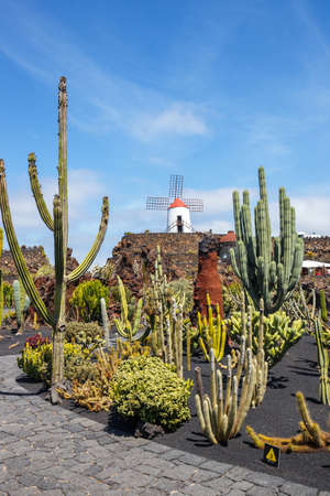 View of cactus garden, jardin de cactus in Guatiza, popular attraction in Lanzarote, Canary islandsのeditorial素材