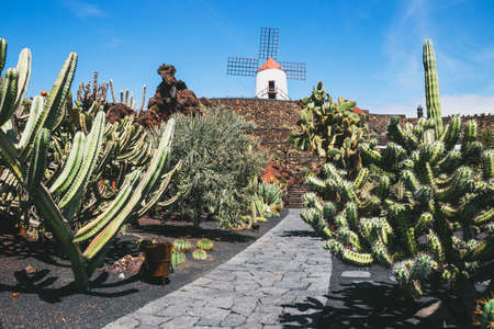 Windmill in tropical cactus garden in Guatiza village, popular attraction in Lanzarote, Canary islandsのeditorial素材