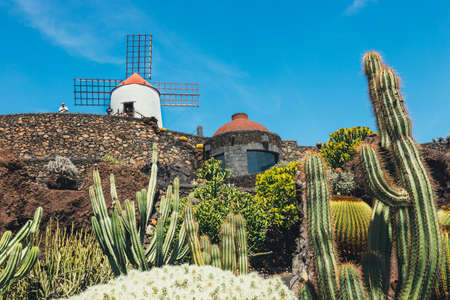 LANZAROTE - March 29, 2017: View of cactus garden with white windmill in Guatiza, popular attraction in Lanzarote, Canary islandsのeditorial素材