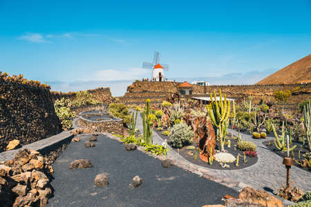 LANZAROTE - March 29, 2017: View of cactus garden with white windmill in Guatiza, popular attraction in Lanzarote, Canary islandsのeditorial素材