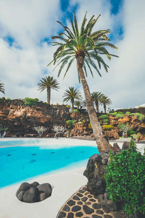 Jameos del Agua pool in volcanic cave, Lanzarote, Canary Islands, Spainの写真素材