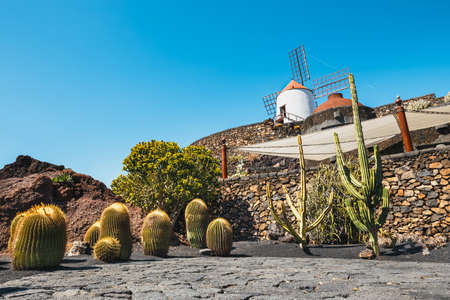 Windmill in tropical cactus garden in Guatiza village, popular attraction in Lanzarote, Canary islandsの写真素材
