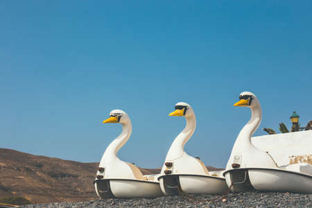 swan-shaped pedal boats on the beach, summer vacation concepthの写真素材