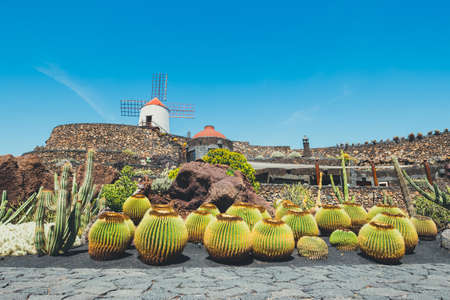 Windmill in tropical cactus garden in Guatiza village, popular attraction in Lanzarote, Canary islandsのeditorial素材