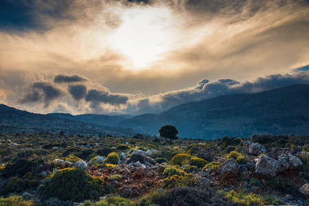 Beautiful mountain landscape near Kritsa Village, Katharo Plateau, Crete, Greeceの写真素材