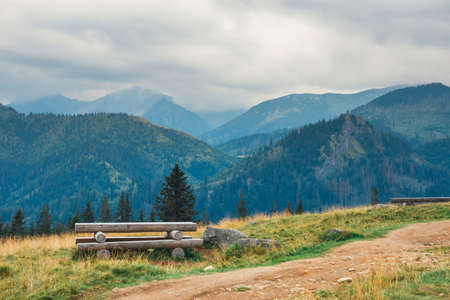 Rusinowa Glade, beautiful place in polish Tatra Mountains, Polandの写真素材