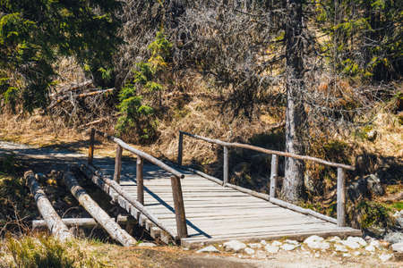 wooden bridge over the stream in the forest