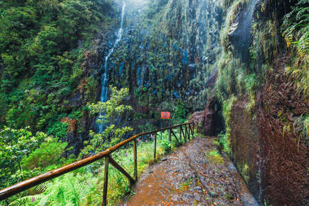 mountain path to Levada das 25 fontes and Levada do Risco , Madeira Island, Portugalの写真素材