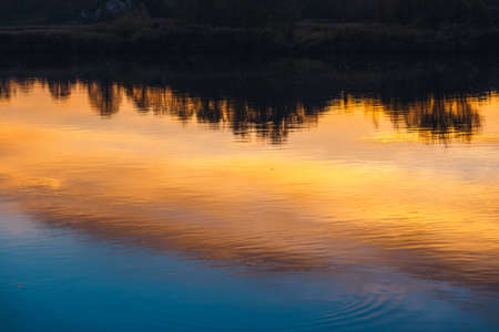 tree silhouettes reflected in the mirror during sunset